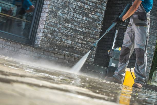 Animal Enclosure Cleaning in Mountainside, NJ